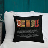 Basketball Coach Letter Art Pillow Bible Verse