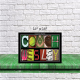 softball gift for coach