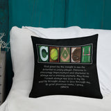 softball coach pillow