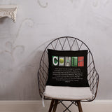 Tennis Coach Letter Art Pillow Bible Verse