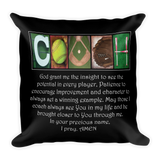 Softball Pillow for a coach -Bible Verse