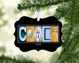 Volleyball Coach Ornament Metal