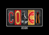 Original Roller Derby Coach 2026 artwork close-up