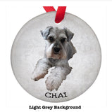 Personalized pet Christmas ornament with photo and name