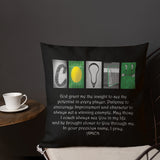 Lacrosse Coach Letter Art Pillow Bible Verse