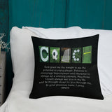 Soccer Coach Letter Art Pillow Bible Verse